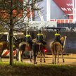 Policja przed stadionem w Alkmaar