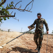 Obrona powietrzna Syrii powstrzymała atak Izraela