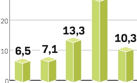 Po 2004 r. przychody z prywatyzacji nie przekraczały 3 mld zł. Były niższe niż te z dywidend.