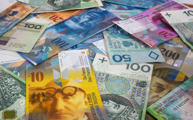 Banki: niech rząd zmniejszy frankową niepewność