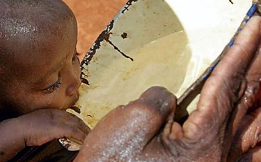 We wschodniej Afryce aż 8 mln ludzi cierpi głód w wyniku suszy