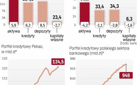 Przez pięć lat portfel kredytowy banku Pekao urósł w sumie o 30 proc., podobnie jak całego rynku