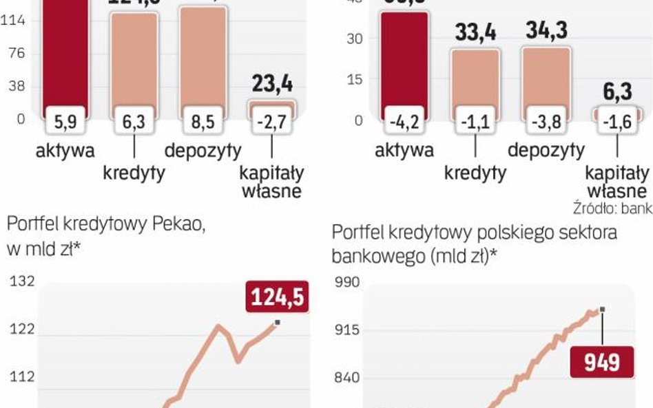 Przez pięć lat portfel kredytowy banku Pekao urósł w sumie o 30 proc., podobnie jak całego rynku
