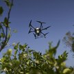 Koniec z oglądaniem plaż z góry – Tajlandia zakazuje używania dronów