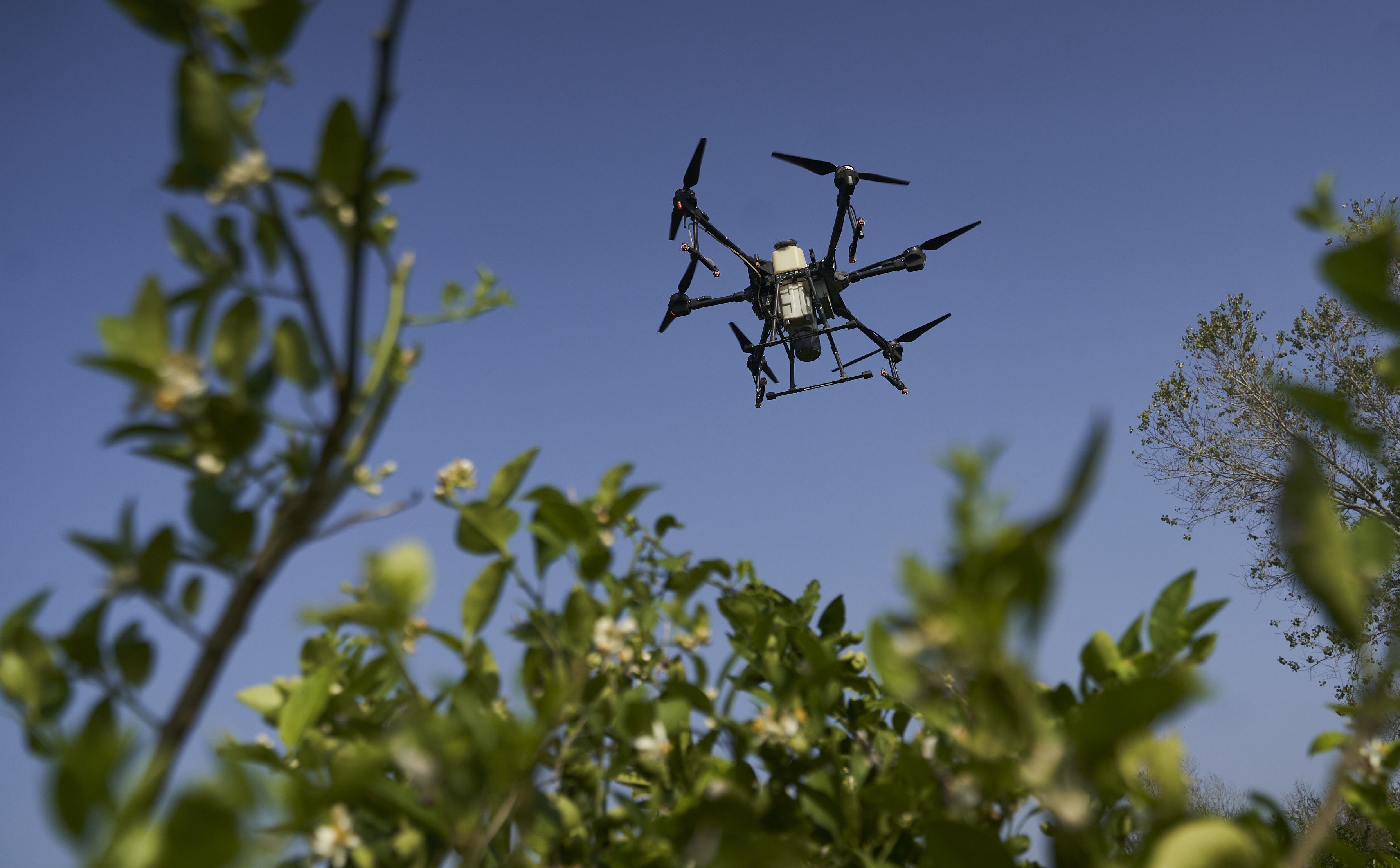 Koniec z oglądaniem plaż z góry - Tajlandia zakazuje używania dronów, nic nie może latać