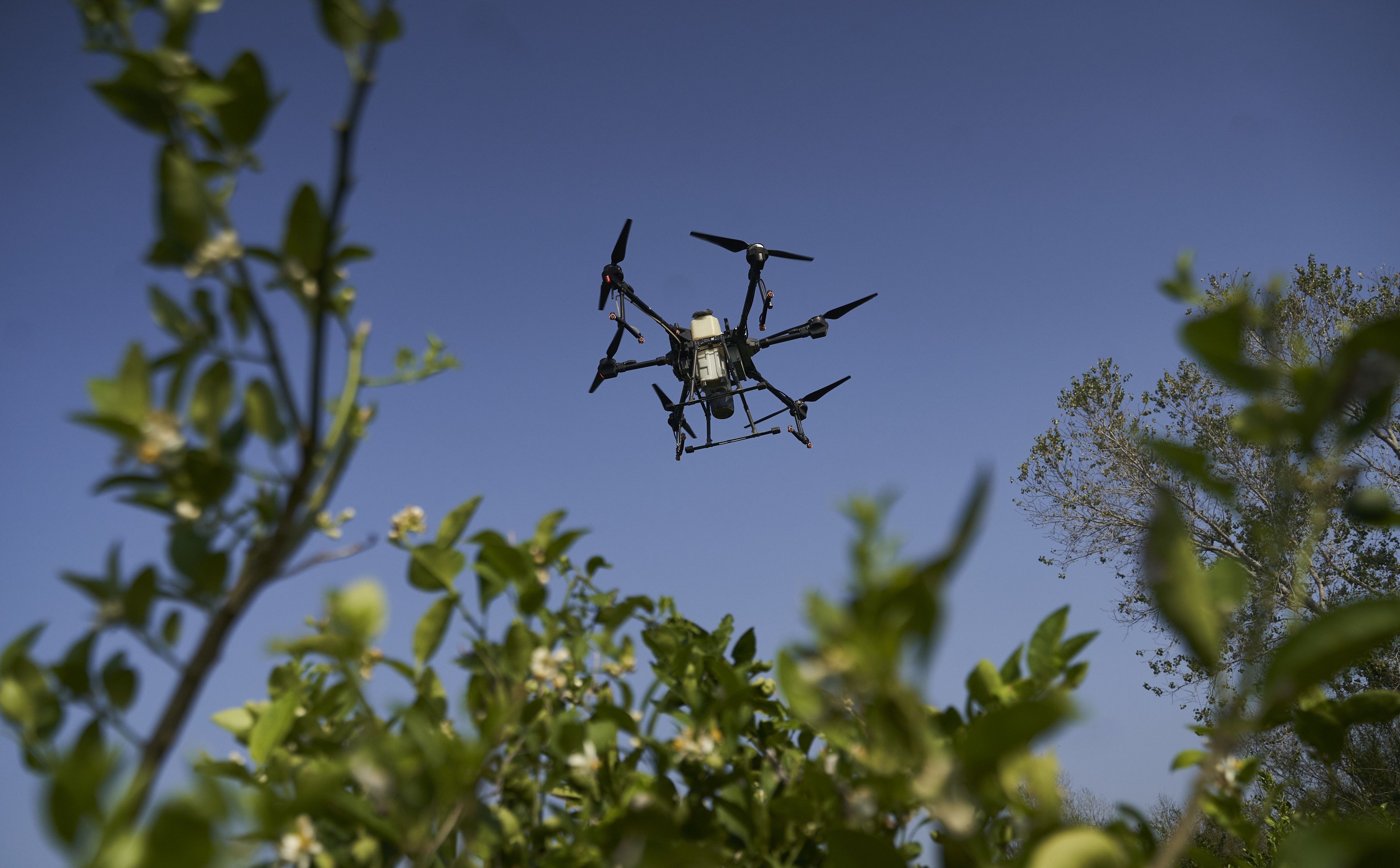 Amerykanie już nie kupią najnowszych chińskich dronów. „Niedopuszczalne ryzyko”