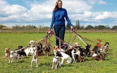 Zniesienie daniny za posiadanie psów ucieszyło tysiące właścicieli czworonogów