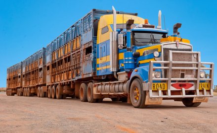 W Australii emisje z transportu zabijają więcej osób, niż wypadki drogowe