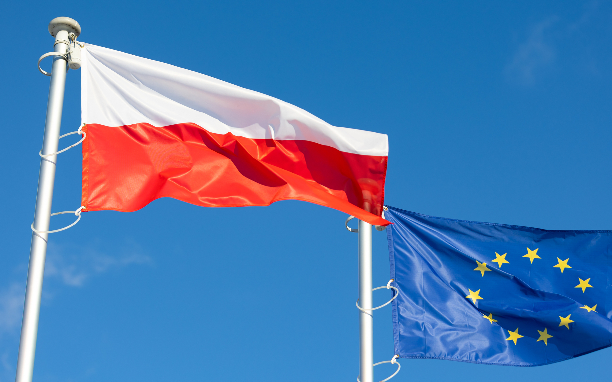 Jan Zielonka: Wirus megalomanii