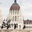Państwa naszego regionu na razie bronią się przed recesją
