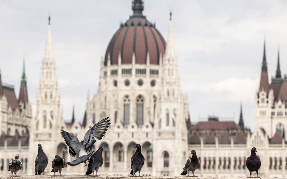 Państwa naszego regionu na razie bronią się przed recesją