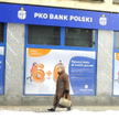 Grupa PKO BP zarobiła w całym 2010 roku 3,217 mld zł, co oznacza prawie 40-proc. wzrost w stosunku d