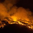 W poniedziałek nadal płonął las w okolicach tureckiego nadmorskiego kurortu Marmaris