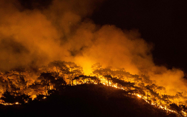W poniedziałek nadal płonął las w okolicach tureckiego nadmorskiego kurortu Marmaris