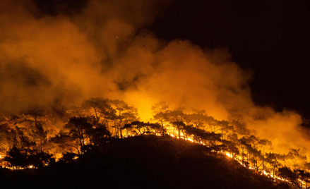 W poniedziałek nadal płonął las w okolicach tureckiego nadmorskiego kurortu Marmaris