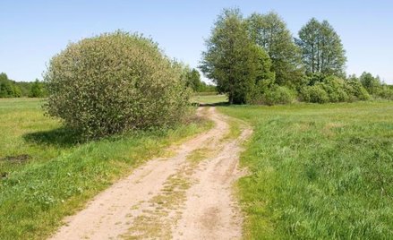 Gdy droga jest jednym potrzebna, a drugim nie