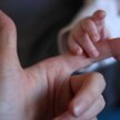 Zarabiali na nielegalnych adopcjach