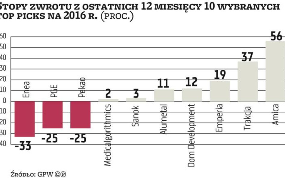 Polecane spółki na 2016 rok