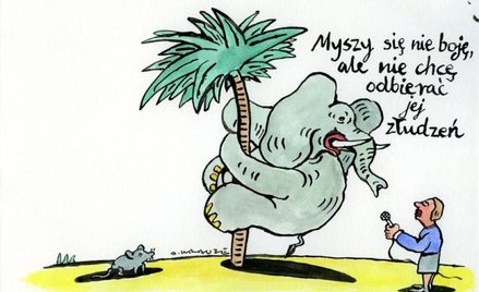 Komentarz rysunkowy Andrzeja Krauzego