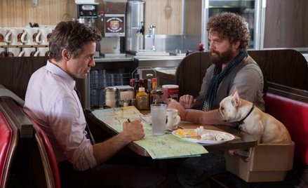 Zach Galifianakis:nowa gwiazda komedii amerykańskiej