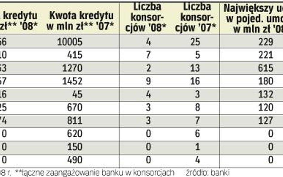 Mniej wielkich kredytów