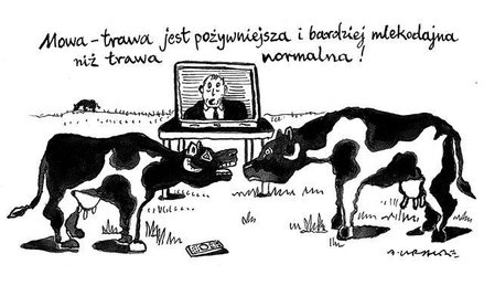 Rysuje Andrzej Krauze