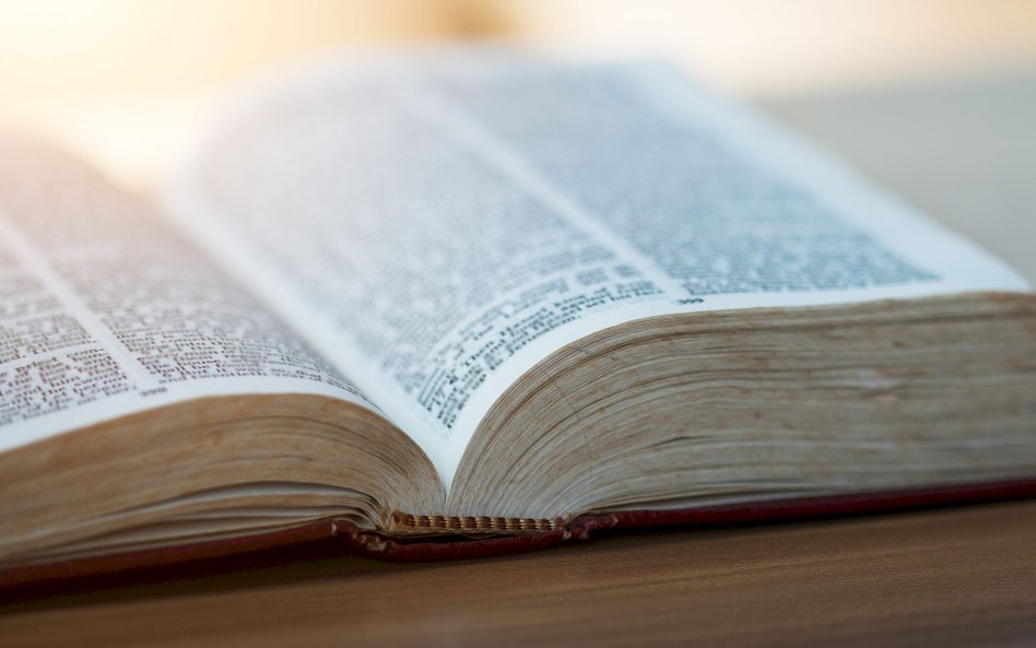 Utah: Biblia usunięta ze szkół za "wulgaryzmy i przemoc"