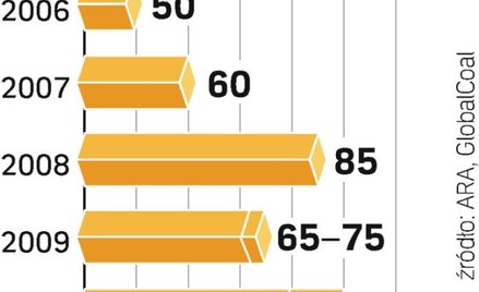 W 2009 i 2010 r. nie będzie rekordu. W lecie 2008 r. węgiel energetyczny dobił do 211 dol. za tonę (