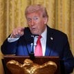 Irena Lasota: Czy świat może polegać na Trumpie i jego tupiącej nodze?
