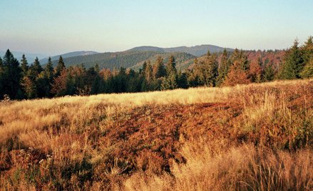 Turysta zmarł w górach