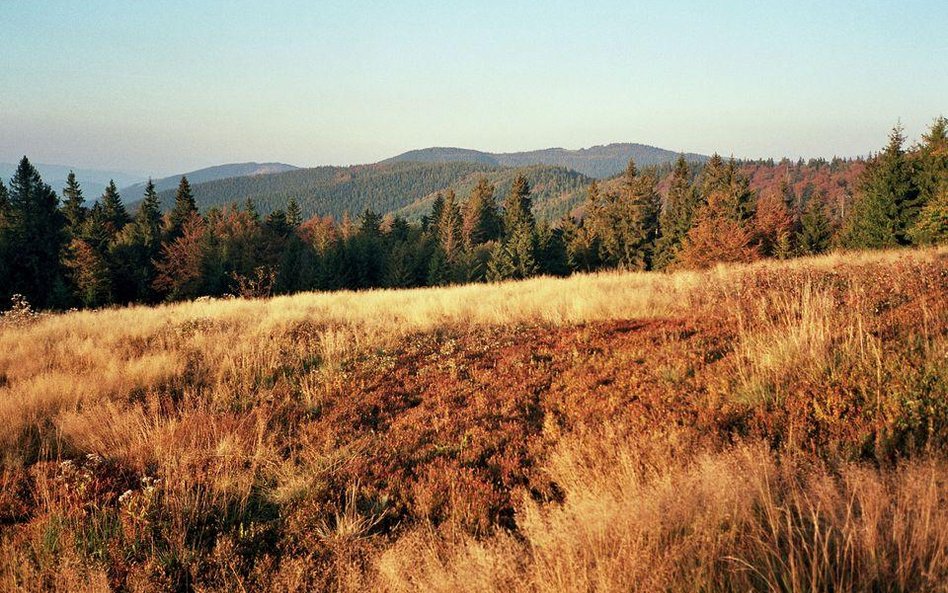 Turysta zmarł w górach