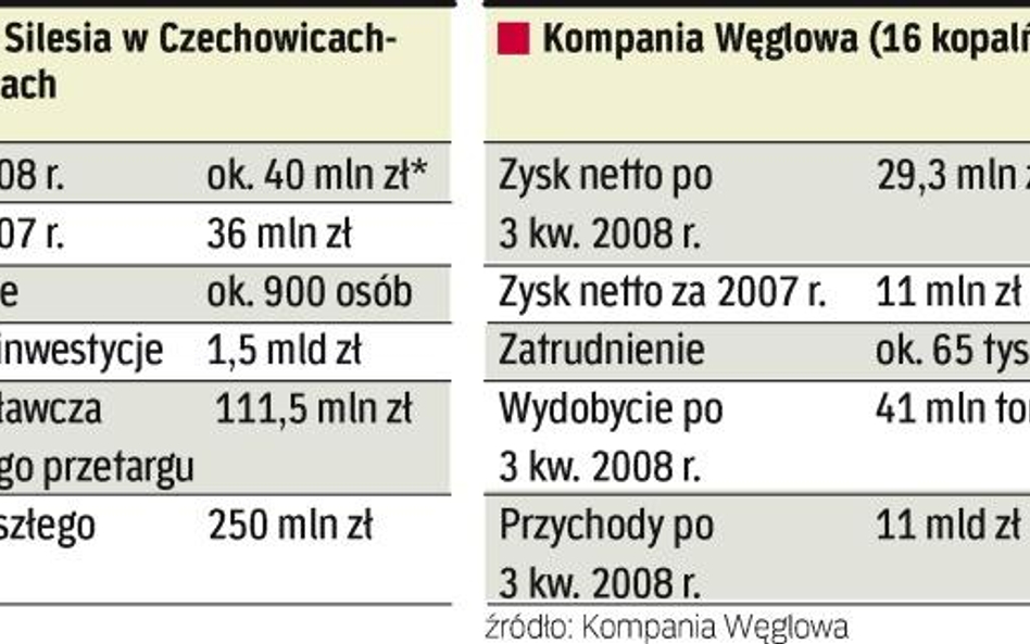 MaŁa kopalnia, wielkie straty. Silesia ma węgiel. Jednak na uruchomienie nowych złóż potrzeba ok. 1,