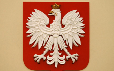Kosztowne logo Polski