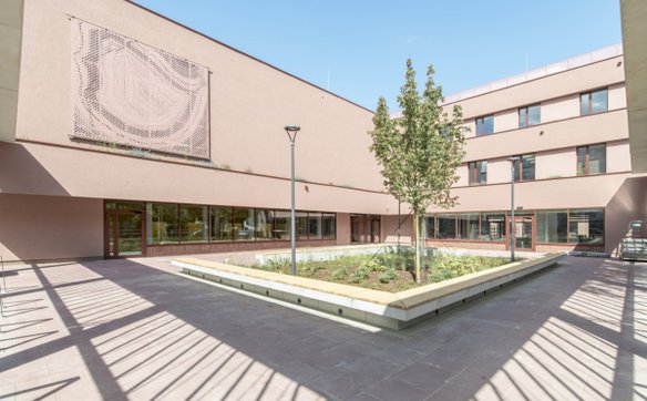 W placówce znajdzie się miejsce dla 450 uczniów. Będą oni mieli do dyspozycji 19 sal lekcyjnych, pię