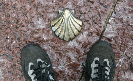 Pielgrzymi idą do Santiago de Compostela szlakiem świętego Jakuba, znaczonym muszlami