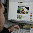 Setki tysięcy stron WWW trzeba będzie rejestrować