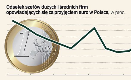 Jakie jest poparcie biznesu dla euro? Zaskakujące wyniki badań