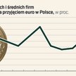 Jakie jest poparcie biznesu dla euro? Zaskakujące wyniki badań