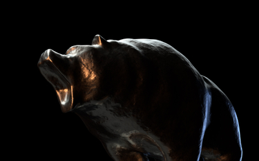 ... i niedźwiedzie, czyli trzy spółki, którym grozi przecena akcji