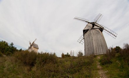 Muzeum Wsi Kieleckiej kandyduje do tytułu nowego cudu Polski.