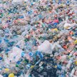 Watykan wolny od jednorazowego plastiku