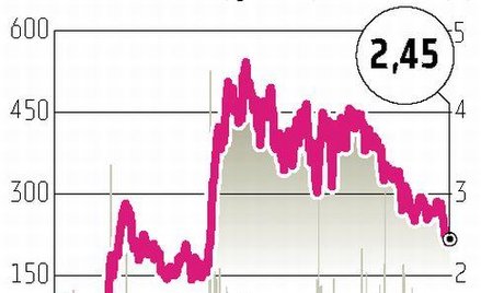 Procad: Rok nie będzie gorszy niż zeszły