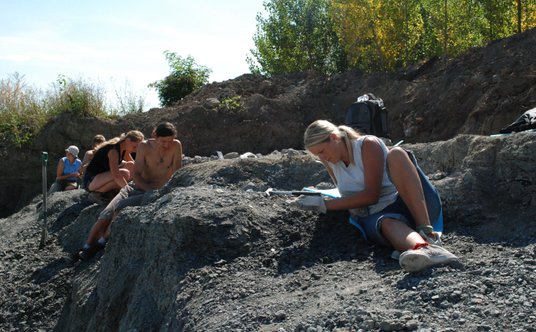 Wykopaliska w Lisowicach w Polsce w stanowisku z późnotriasową fauną. W trakcie prowadzenia prac pos