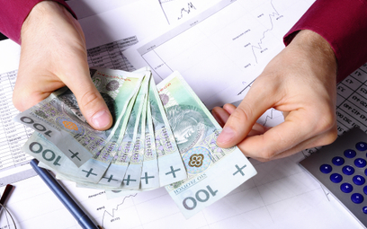 Mimo obniżek PIT i VAT Polak średnio odda 17,2 tys. zł do budżetu państwa