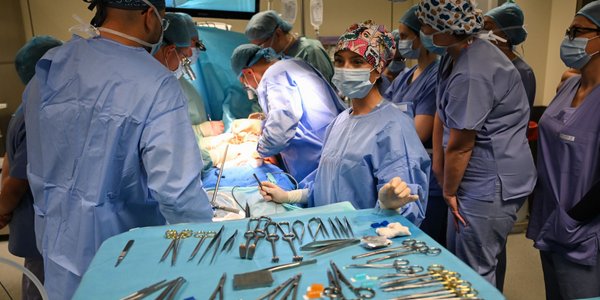 Poll: Most Poles say doctors' salaries are too high