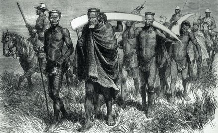 Zuluscy posłowie niosą kość słoniową w darze dowódcy wojsk brytyjskich, rysunek z epoki