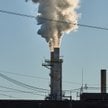 Międzynarodowy Trybunał Sprawiedliwości orzekł, że kraje są zobowiązane do zapobiegania i łagodzenia
