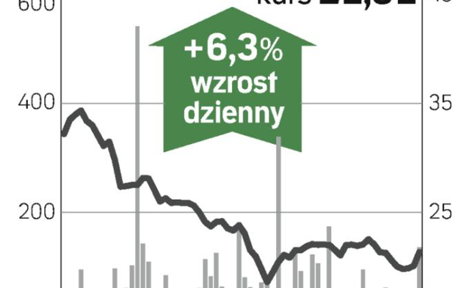 Kopex: Prezes pomógł kursowi