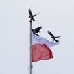 Flaga na maszcie Pałacu Prezydenckiego w Warszawie