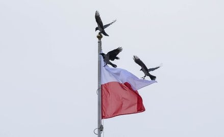 Flaga na maszcie Pałacu Prezydenckiego w Warszawie